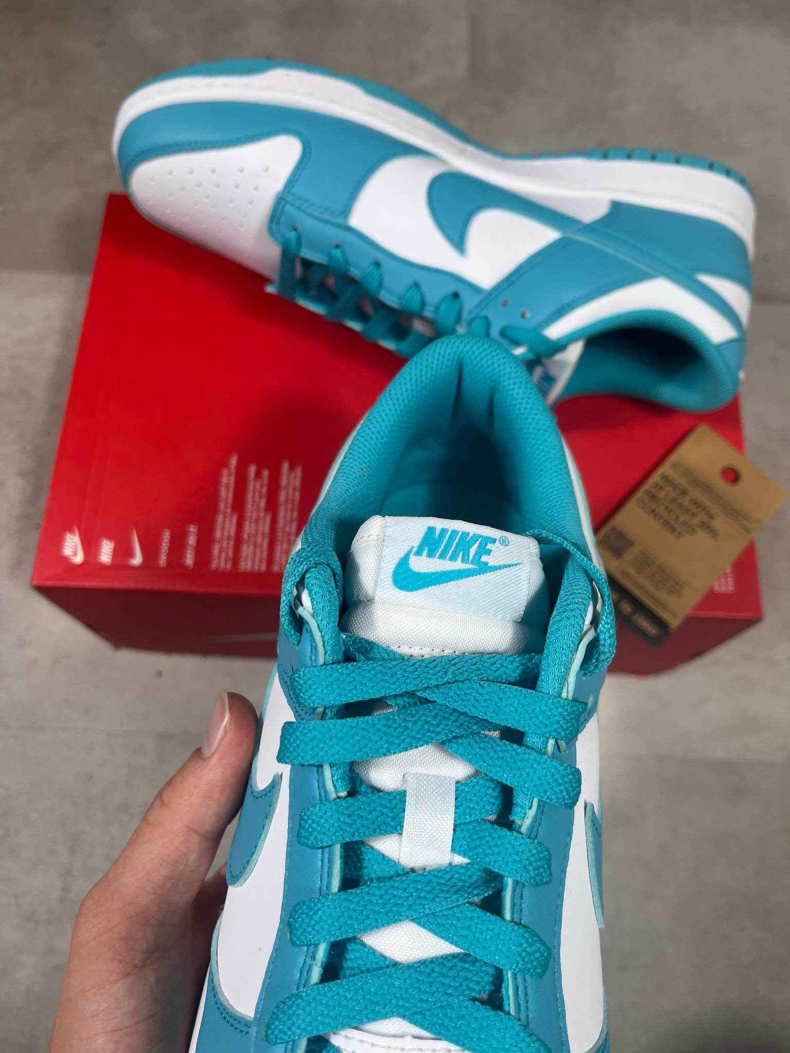 Nike Dunk Low Dusty Cactus (44) - Candy Streetwear